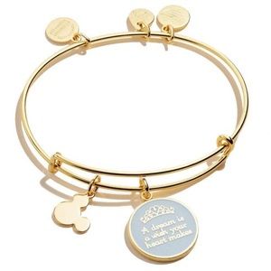 Alex and Ani Disney A Dream is a Wish Your Heart Makes Bangle Bracelet